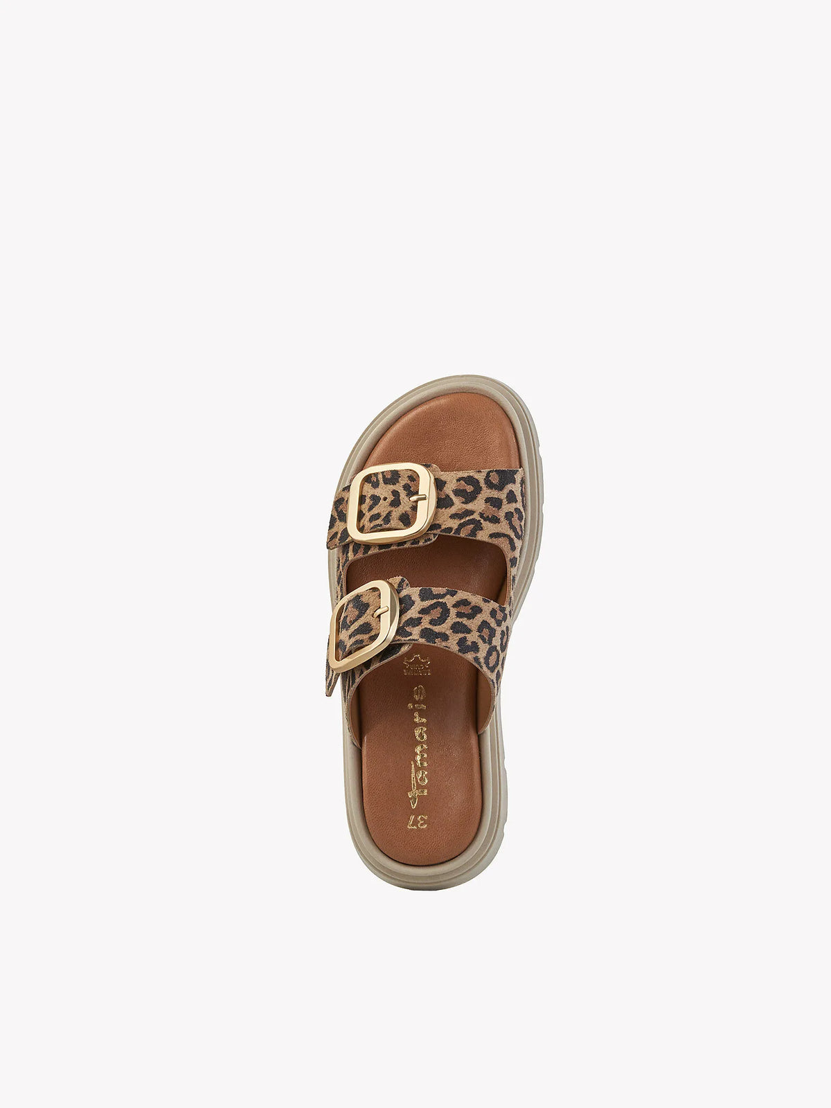 LEOPARD