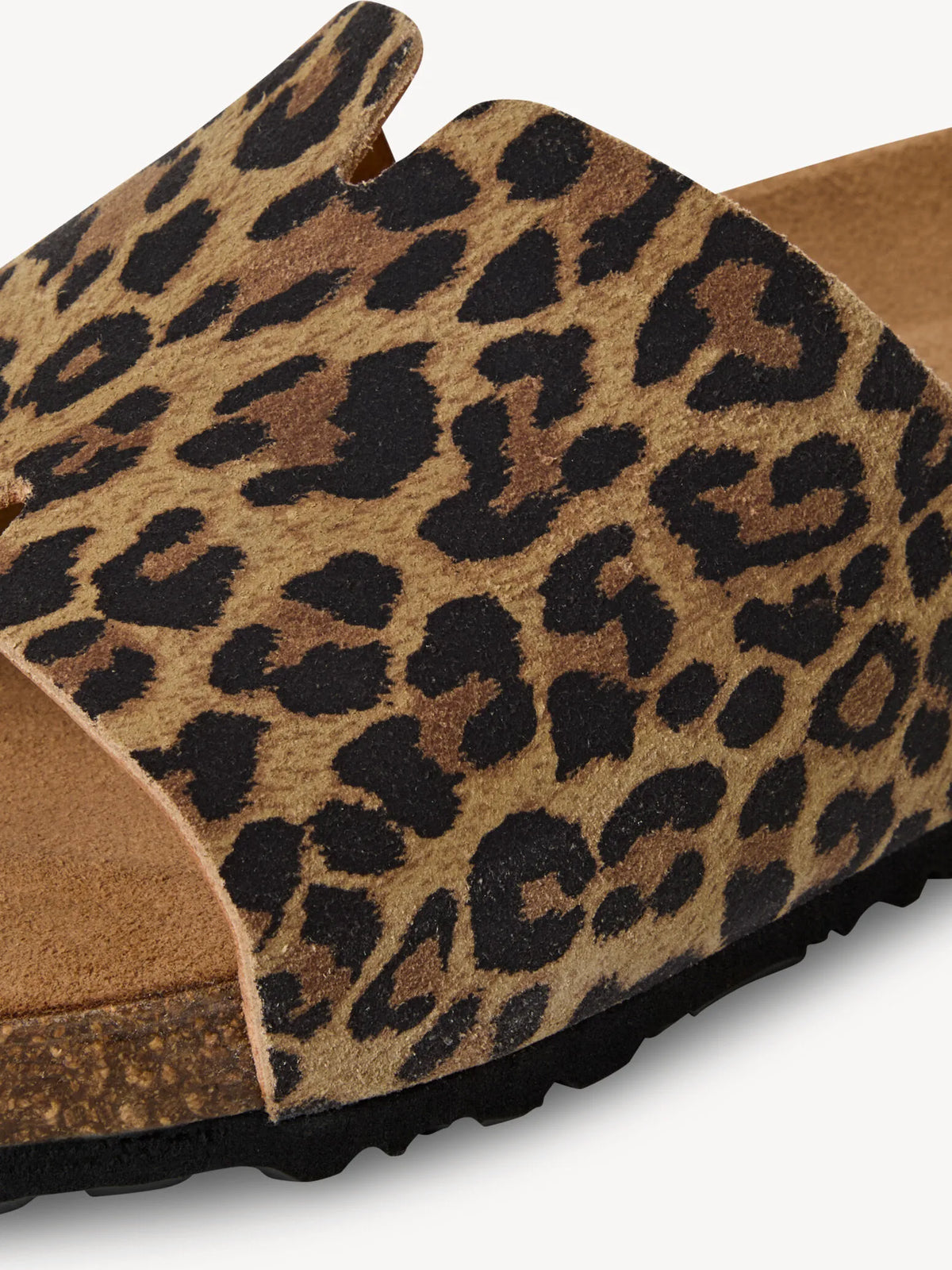 LEOPARD