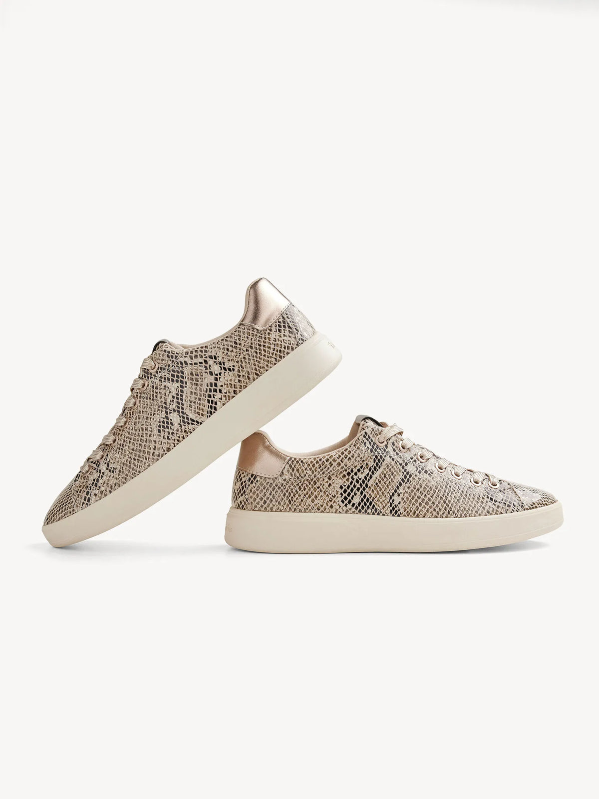 BEIGE SNAKE
