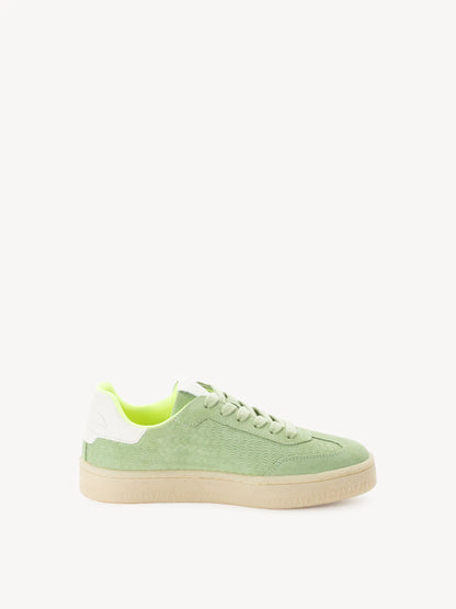 SAGE/NEON