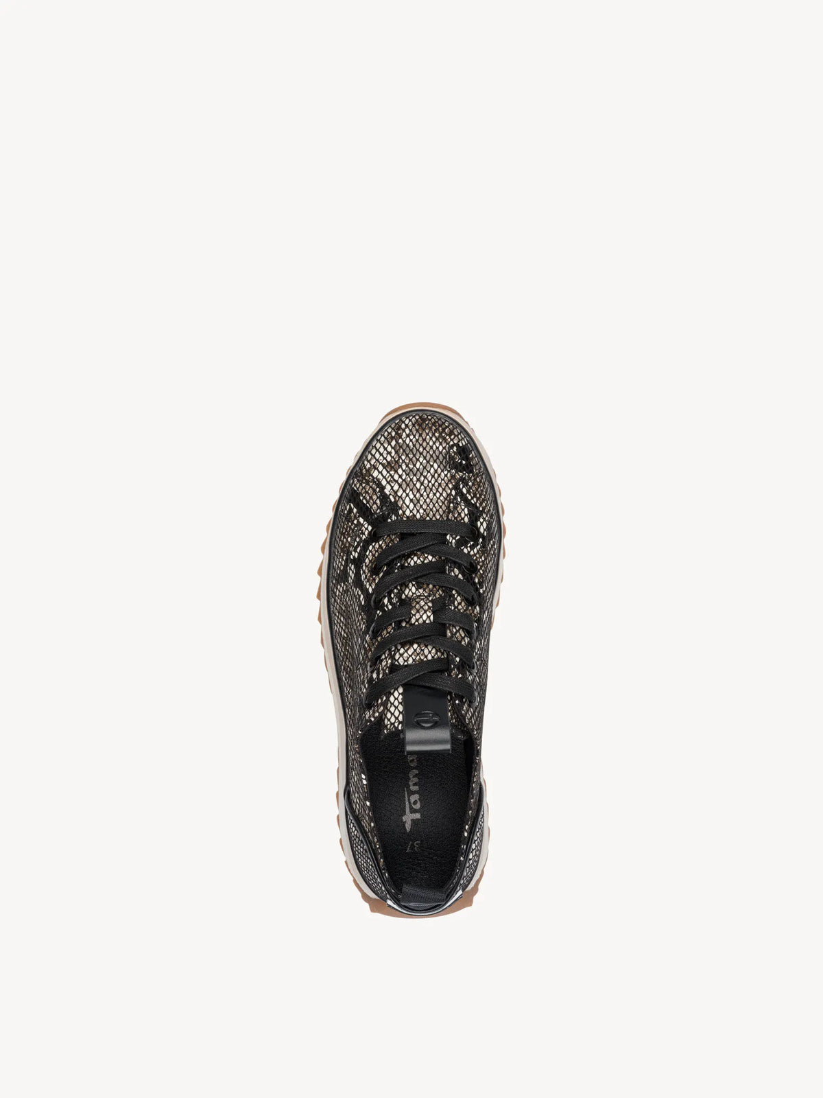BLACK SNAKE