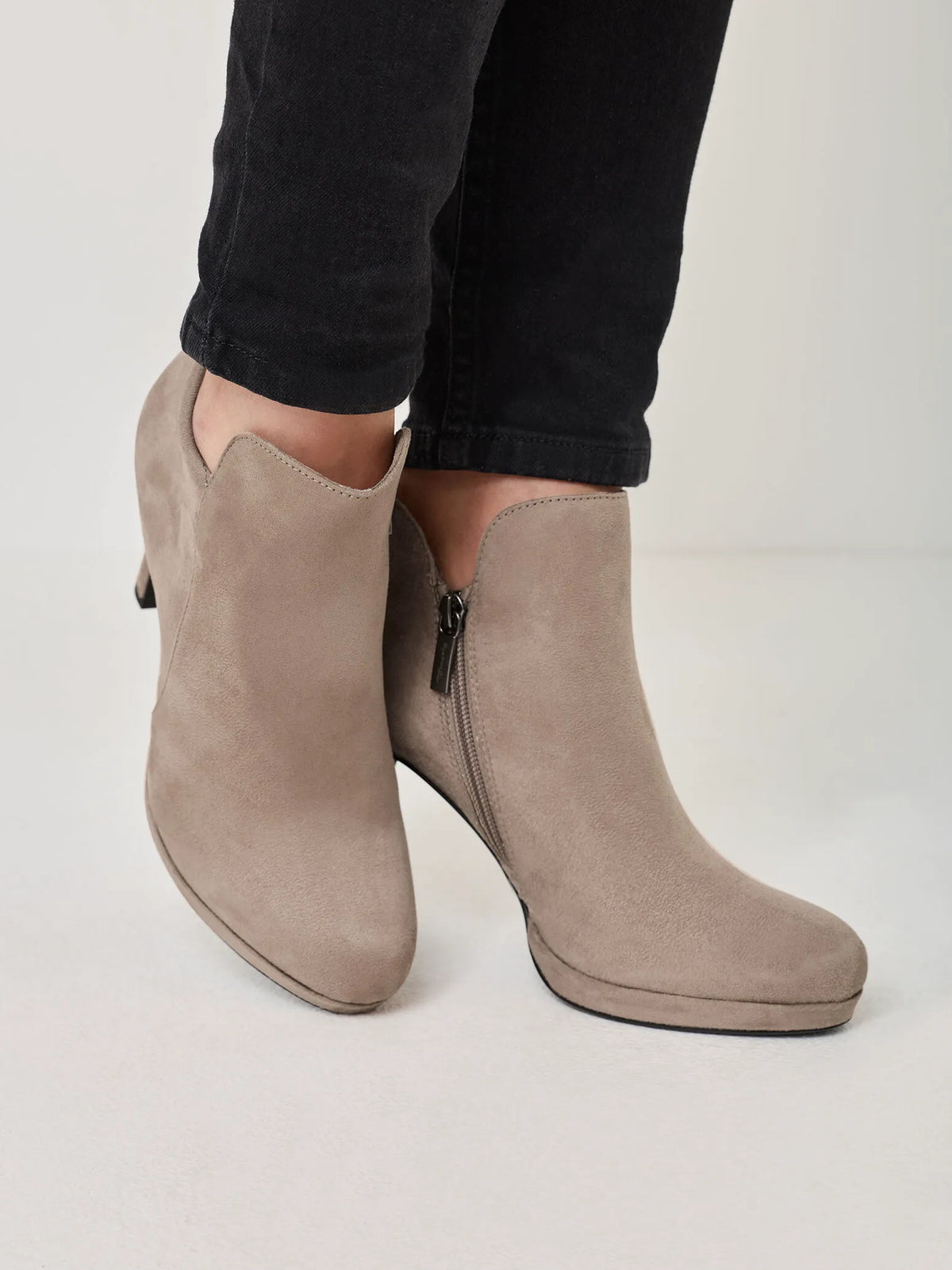 TAUPE
