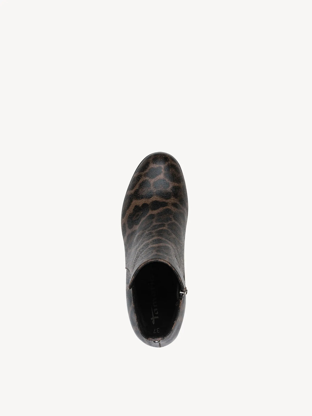 LEOPARD
