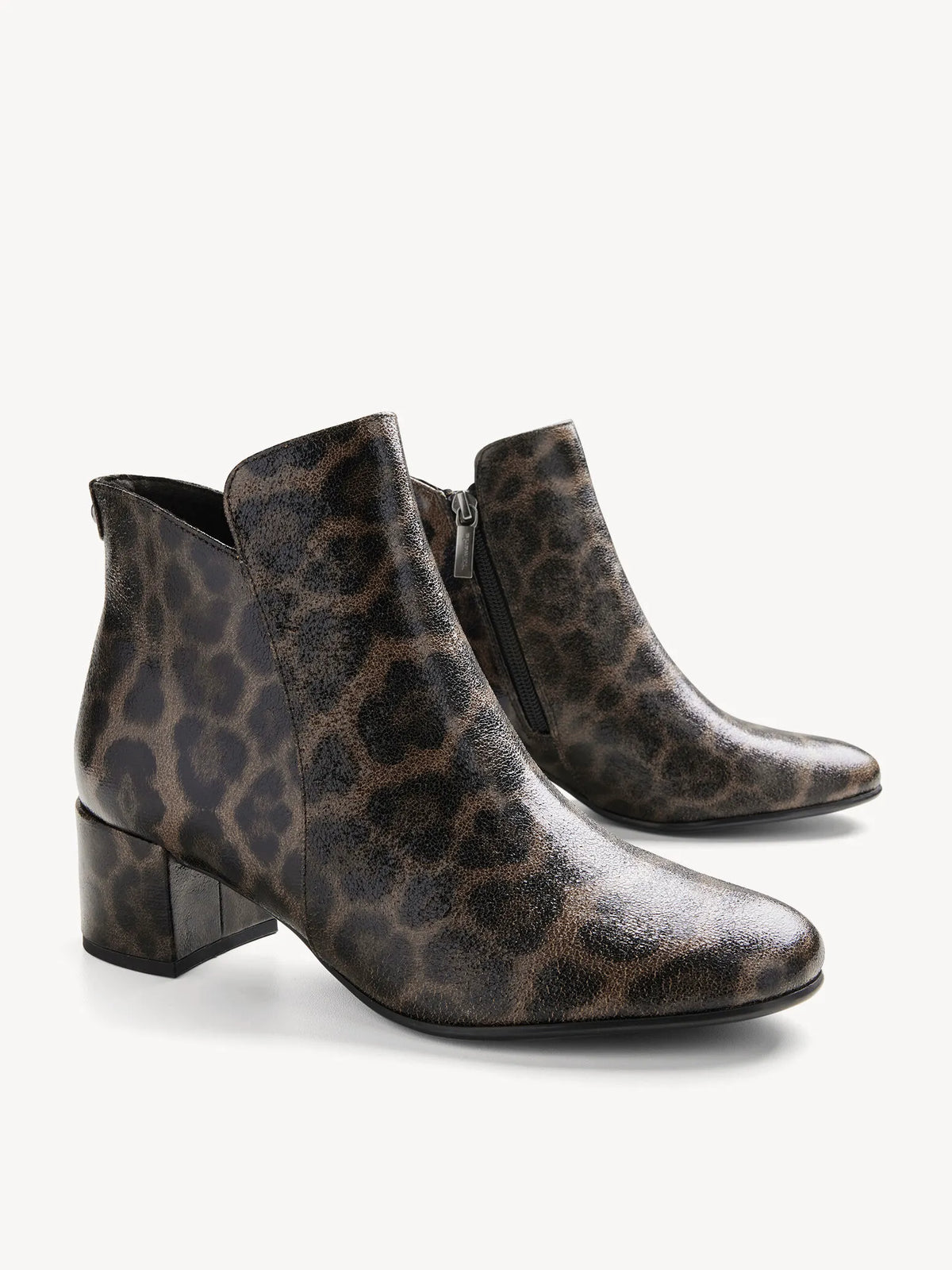LEOPARD