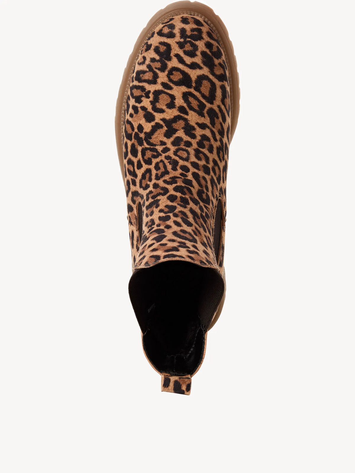 LEOPARD