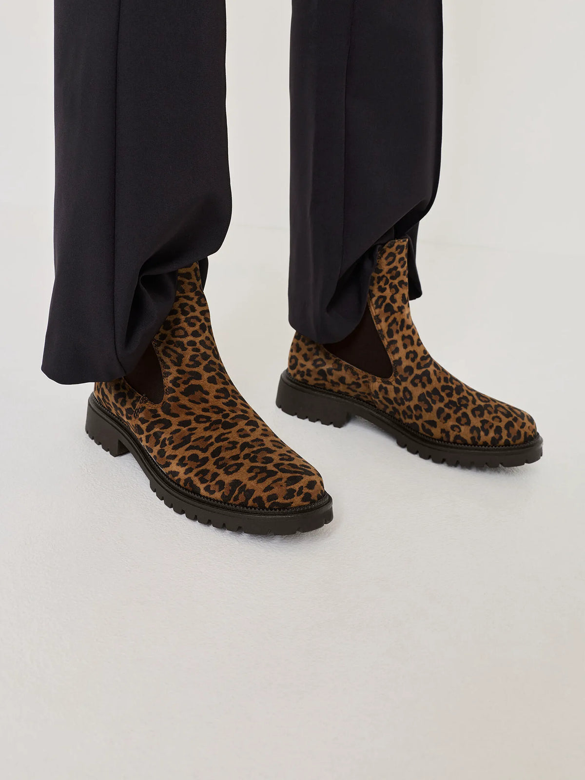 LEOPARD