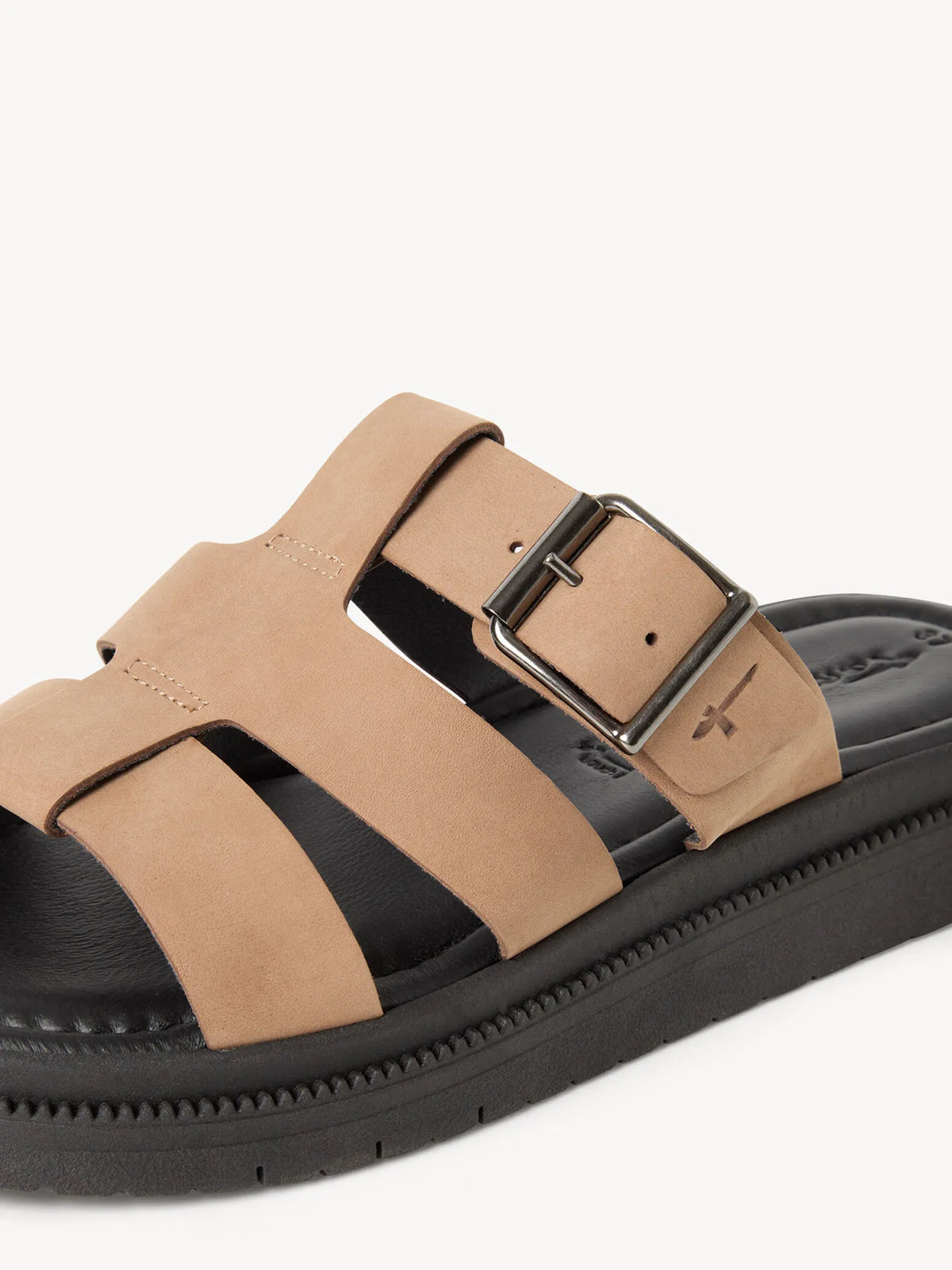 TAUPE NUBUC