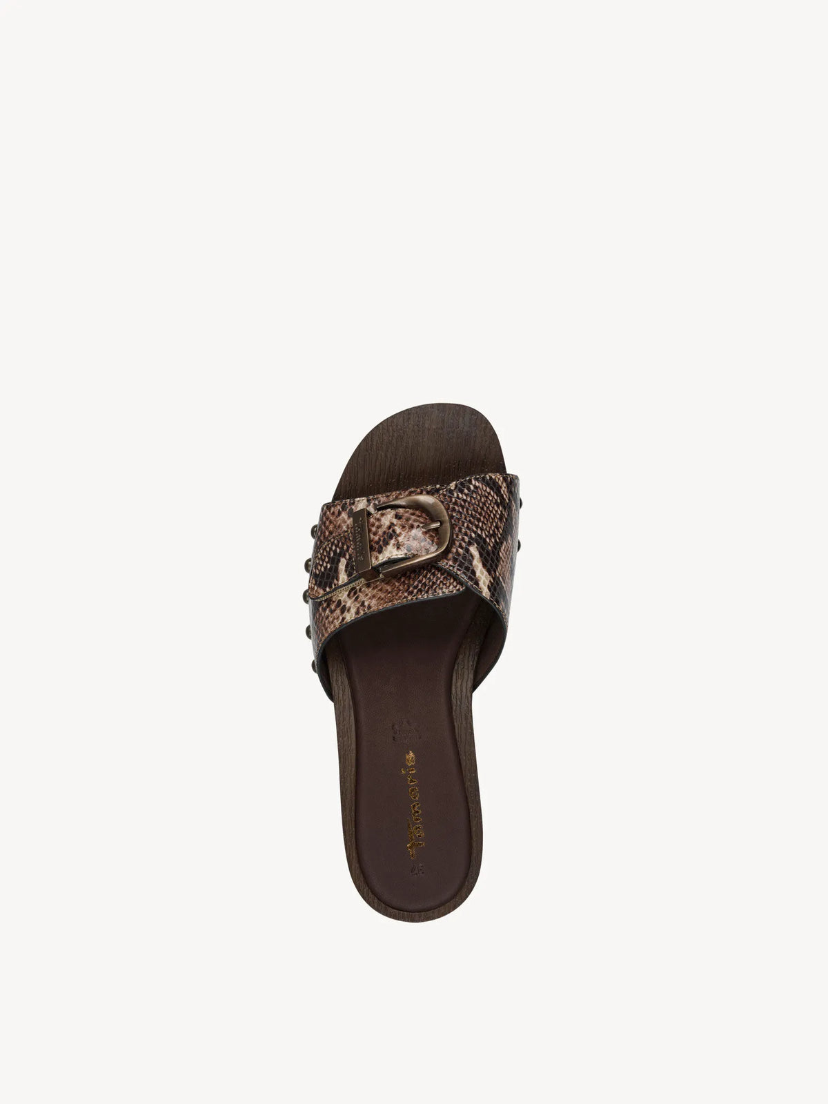 BROWN SNAKE