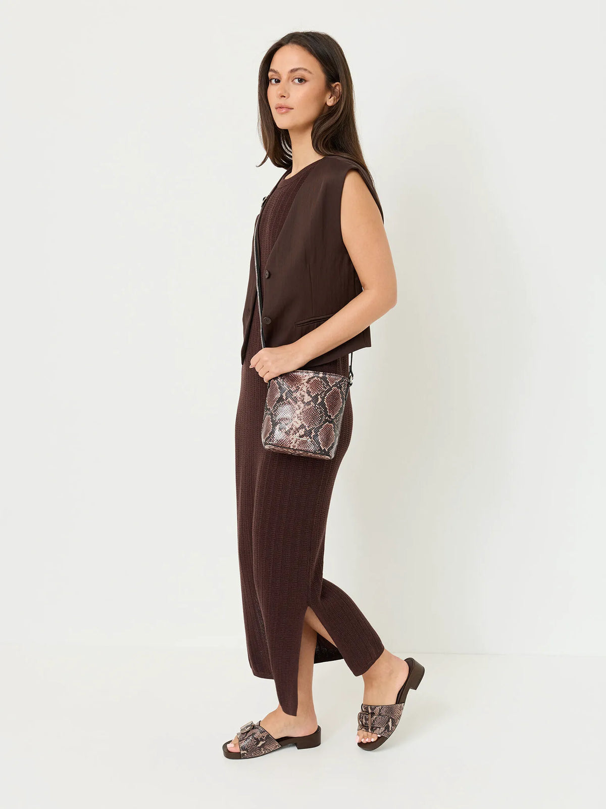 BROWN SNAKE