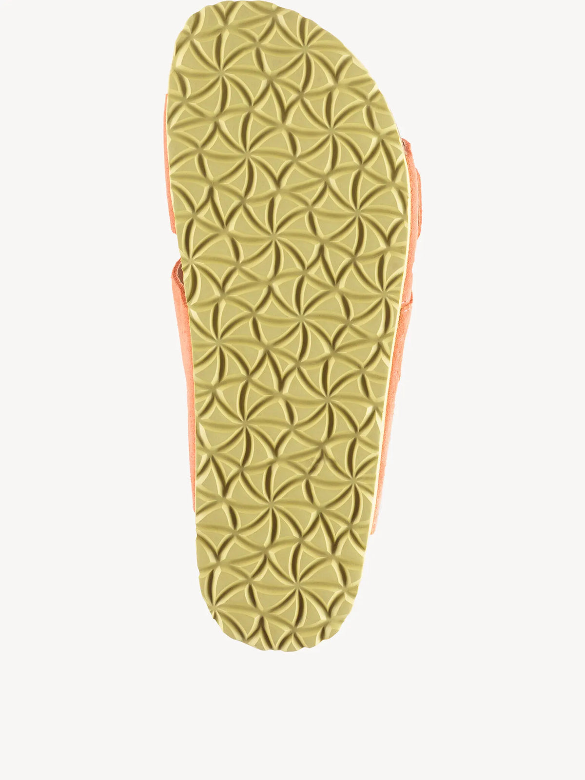 CORAL COMB