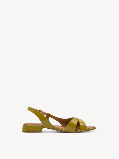 OLIVE PATENT