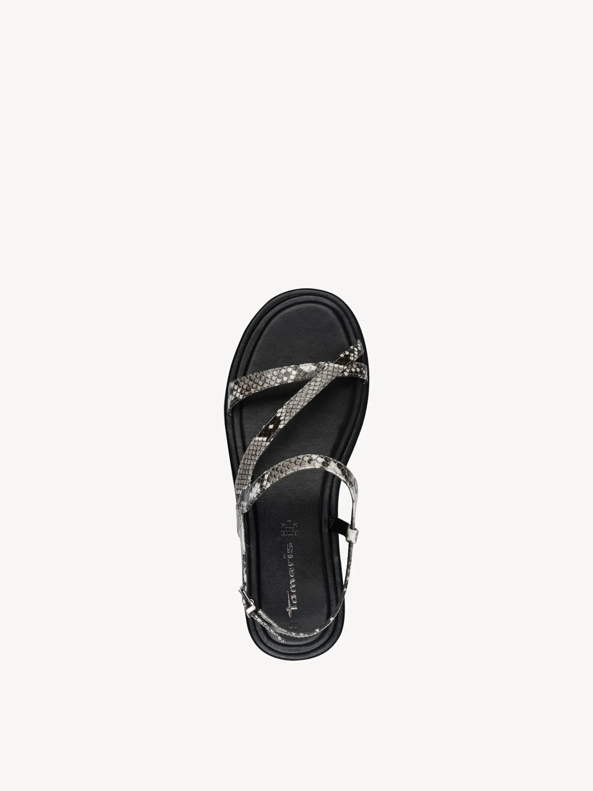 GREY SNAKE