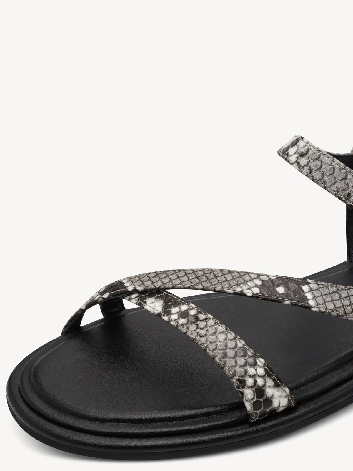 GREY SNAKE