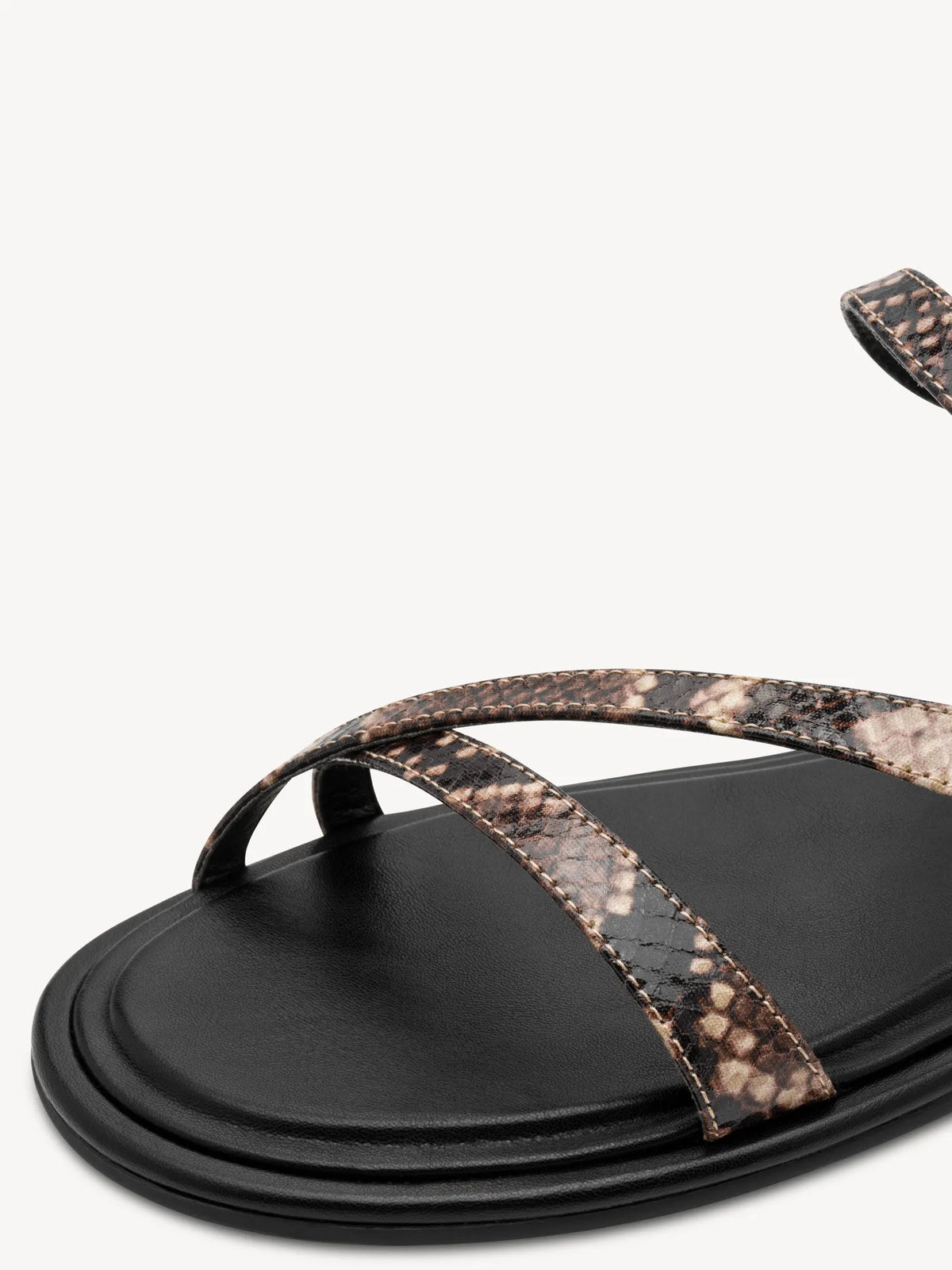 BROWN SNAKE