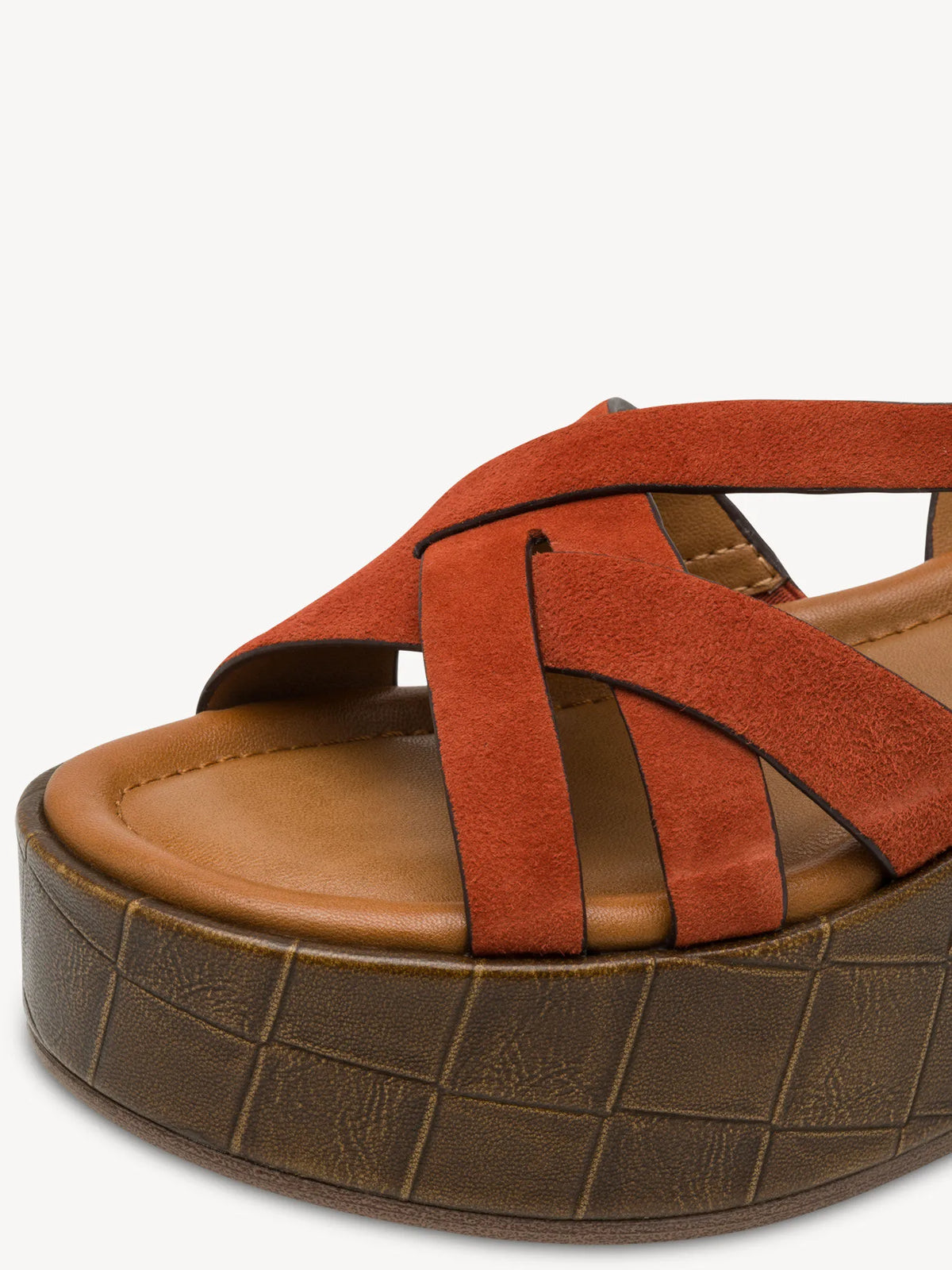 TERRACOTTA
