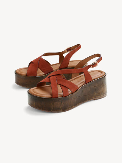 TERRACOTTA