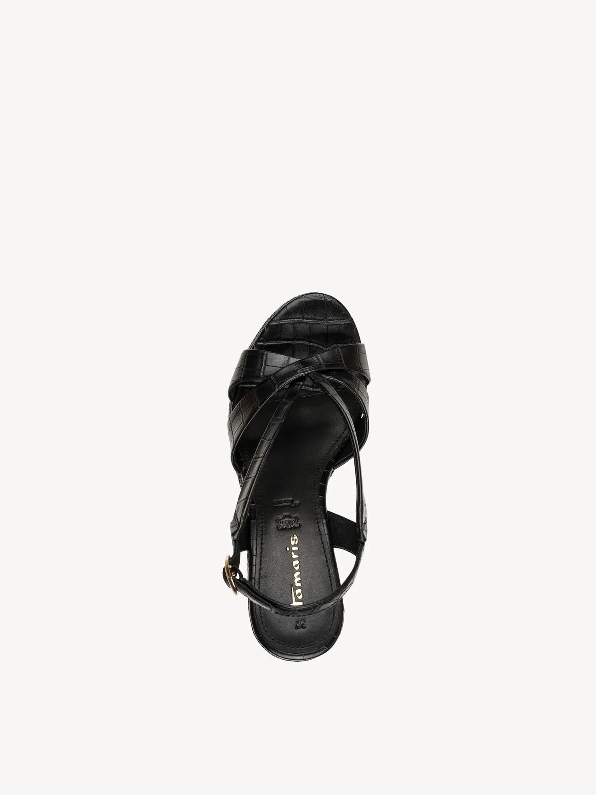 BLACK CROCO