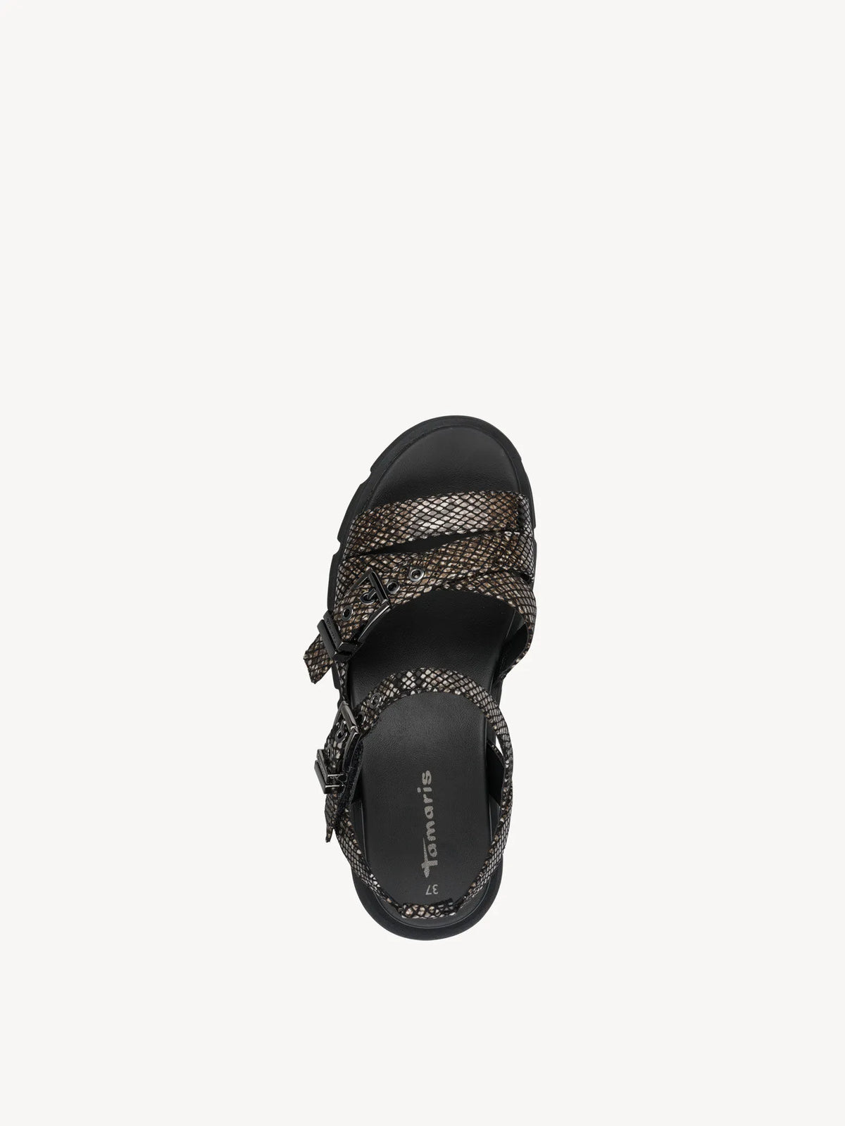 BLACK SNAKE