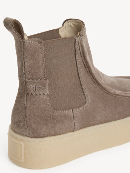 TAUPE