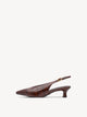 MUSCAT CROCO