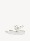 WHITE/SILVER