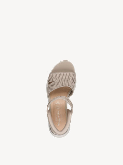 TAUPE