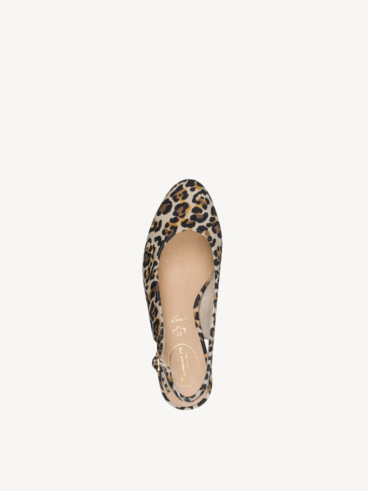 LEOPARD