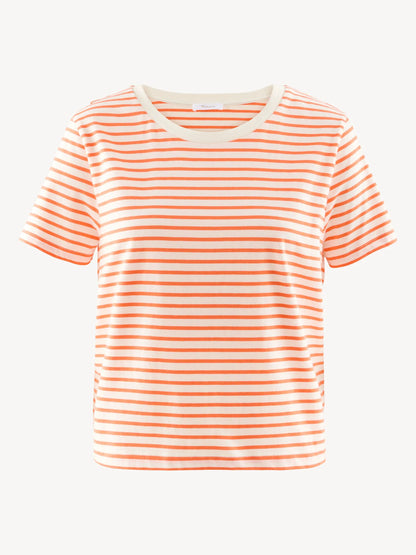 Nasturtium / Bright White Stripe
