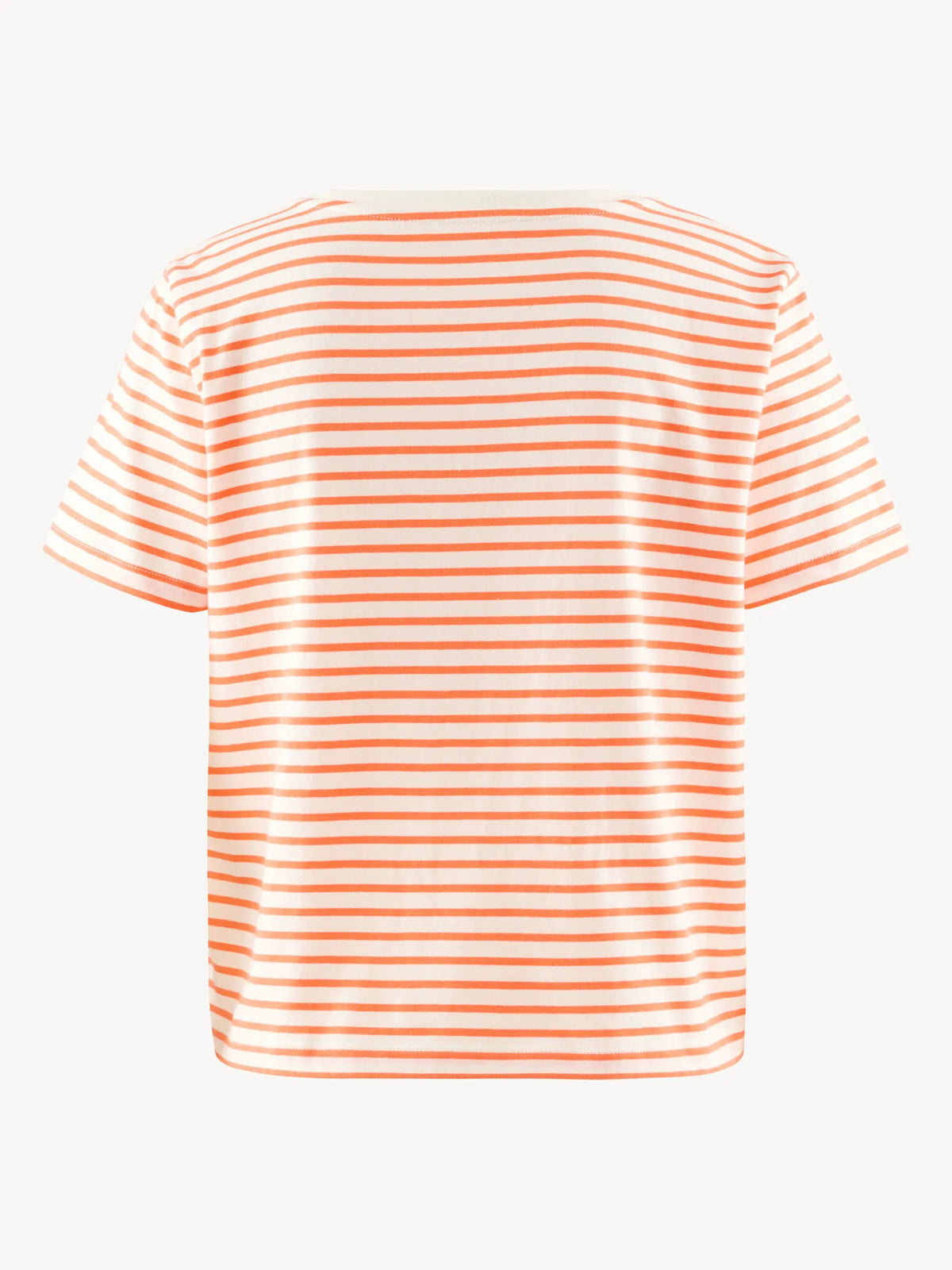 Nasturtium / Bright White Stripe