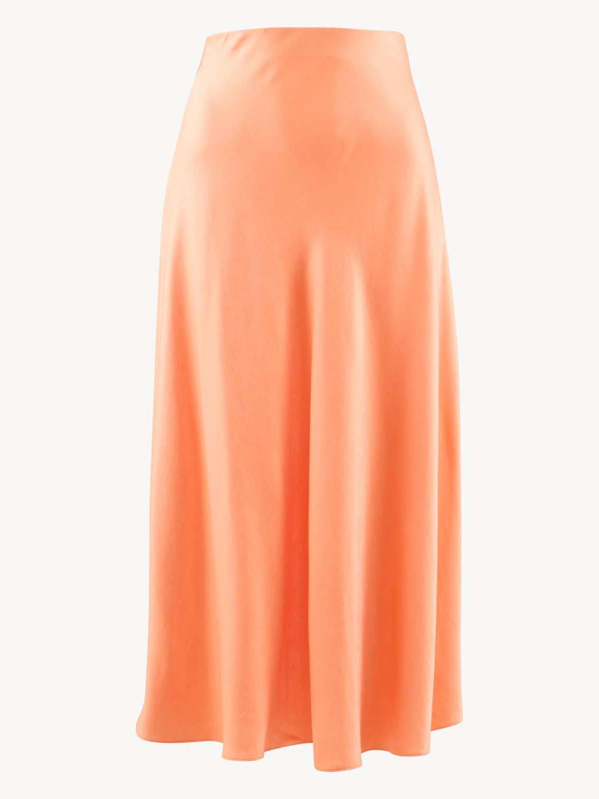 Shell Coral